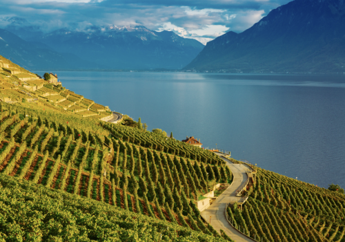 Capture d’écran 2025-10-28 à 20.23.57